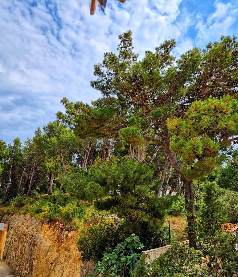 Apartman Mar18 Makarska Exteriör bild